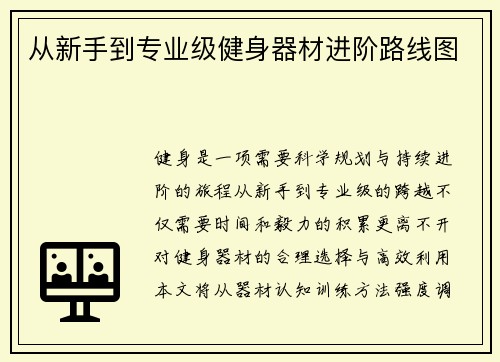 从新手到专业级健身器材进阶路线图